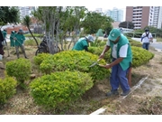 Manutenção do Meio Ambiente na Vila das Belezas